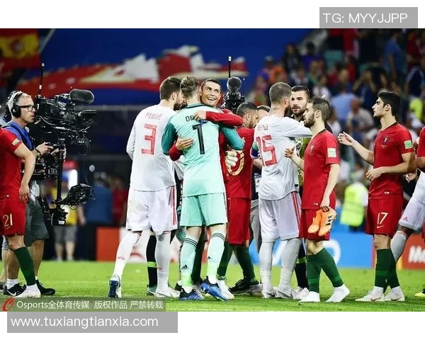 巴西与荷兰世界杯经典对决回顾球迷心中永恒的传奇时刻